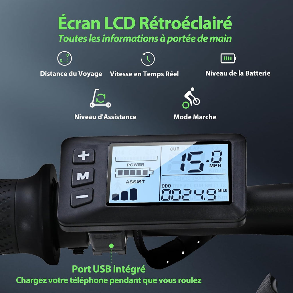 iScooter 14 Inch Folding Electric Bike 432Wh Battery 30-50KM Range 250W Motor Electric Bike for Adults and Teenagers 120kg Load and One App Three Adjustable Speeds 10/15