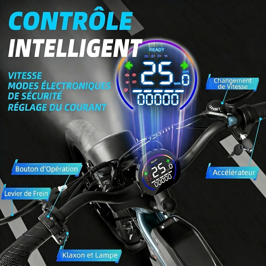 DEEPOWER QS7 Electric Bike, Removable Battery 48V 60Ah/35Ah/20Ah, Autonomy 110-250KM, Motor 120Nm, Fat Tyre 20'' X 4.0, 7 Speed, Full Hydraulic Suspension